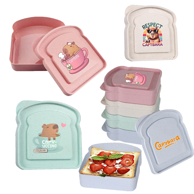 Home Cooking Food - Capybara Sandwich Voedselopbergdoos Container Salade Fruit